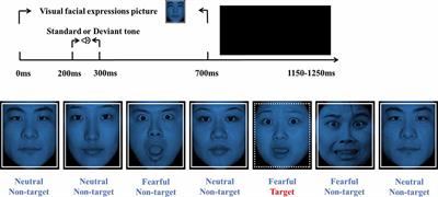 Visually Perceived Negative Emotion Enhances Mismatch Negativity but Fails to Compensate for Age-Related Impairments